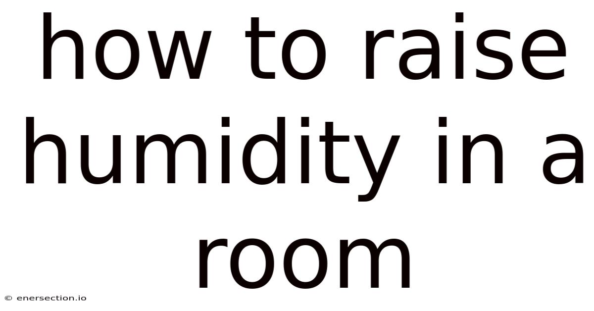 How To Raise Humidity In A Room