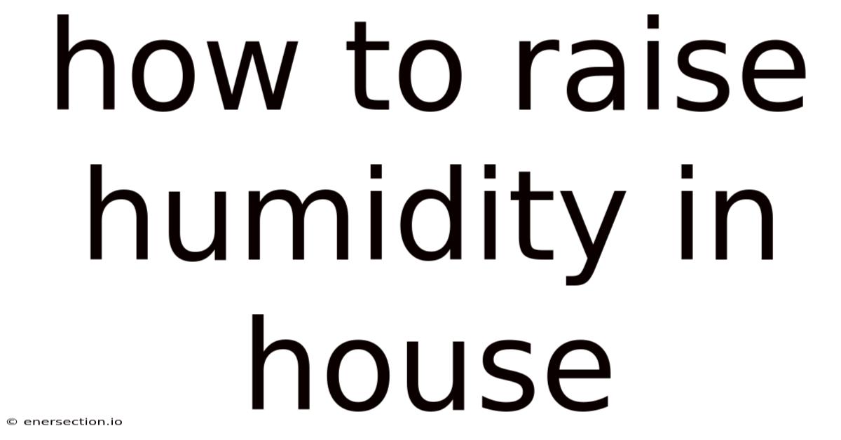 How To Raise Humidity In House
