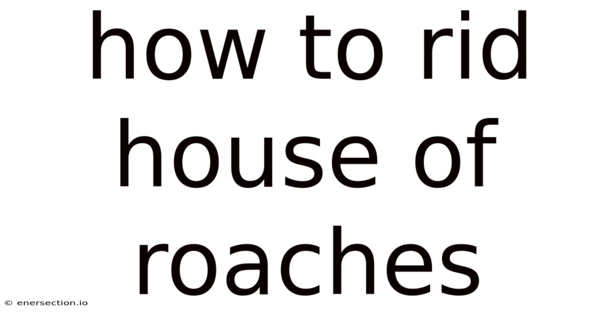 How To Rid House Of Roaches