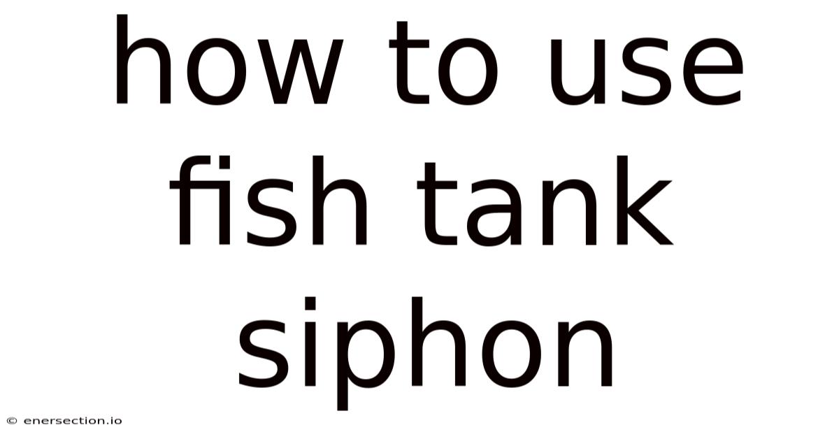 How To Use Fish Tank Siphon
