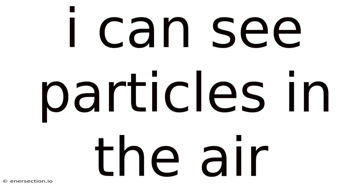 I Can See Particles In The Air