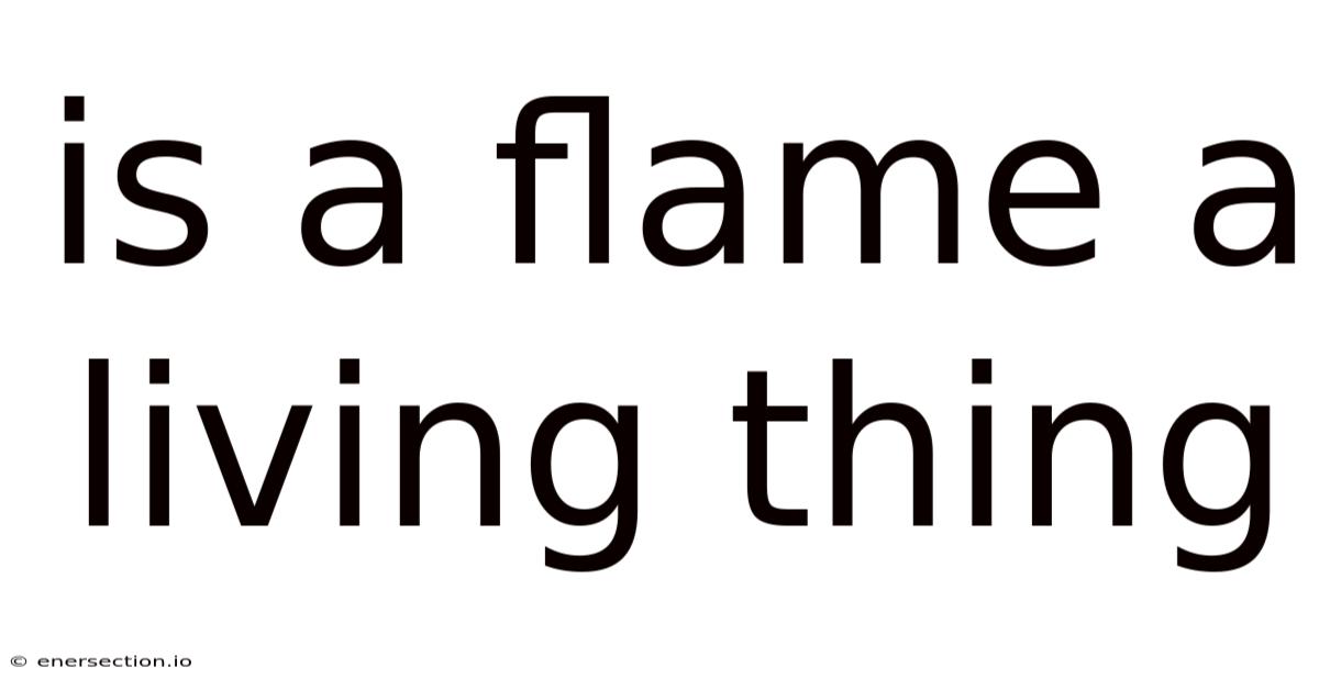 Is A Flame A Living Thing