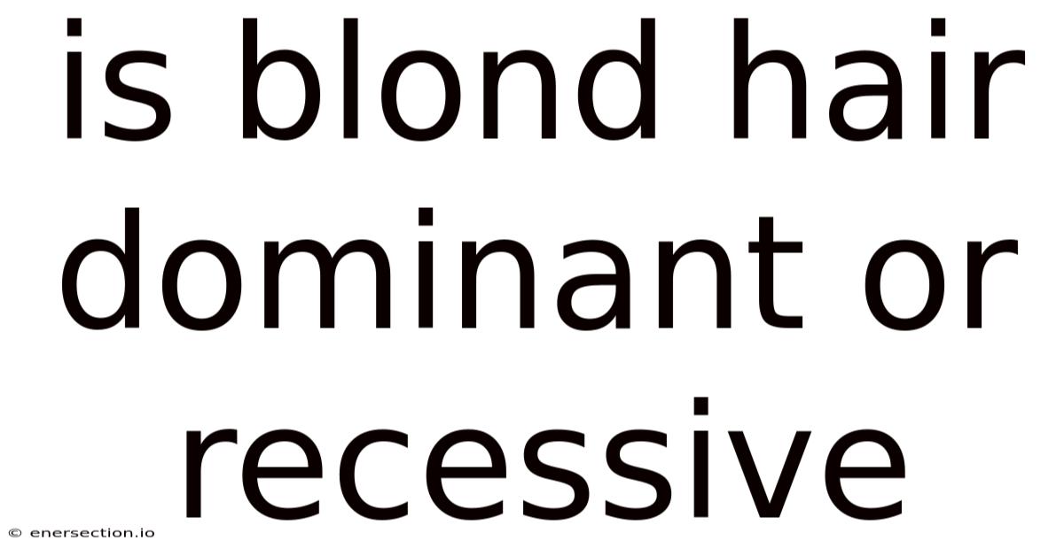 Is Blond Hair Dominant Or Recessive