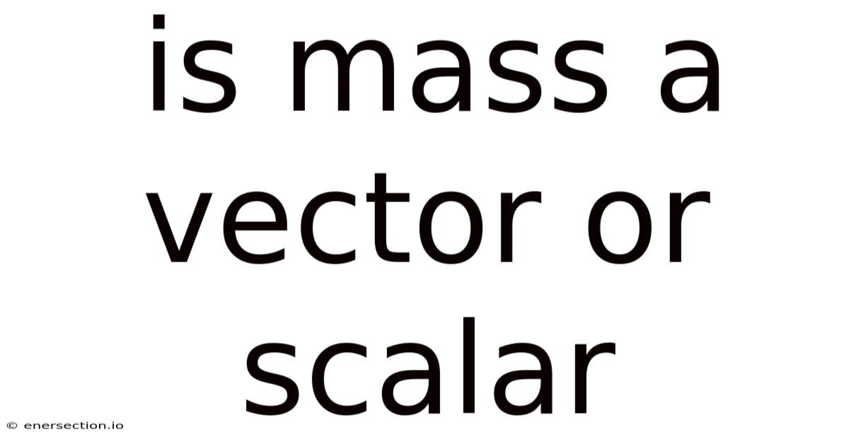 Is Mass A Vector Or Scalar