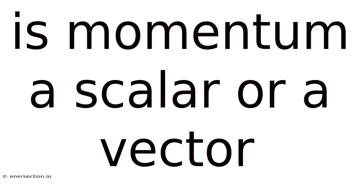 Is Momentum A Scalar Or A Vector