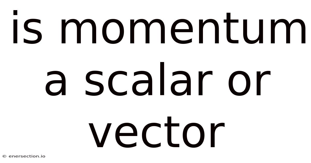 Is Momentum A Scalar Or Vector