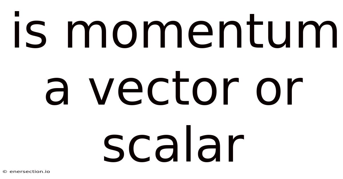 Is Momentum A Vector Or Scalar