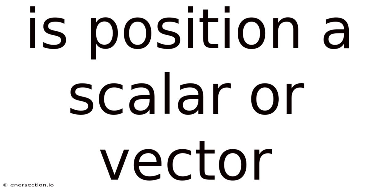 Is Position A Scalar Or Vector