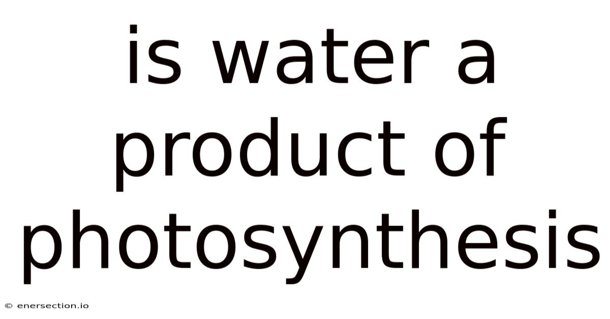 Is Water A Product Of Photosynthesis