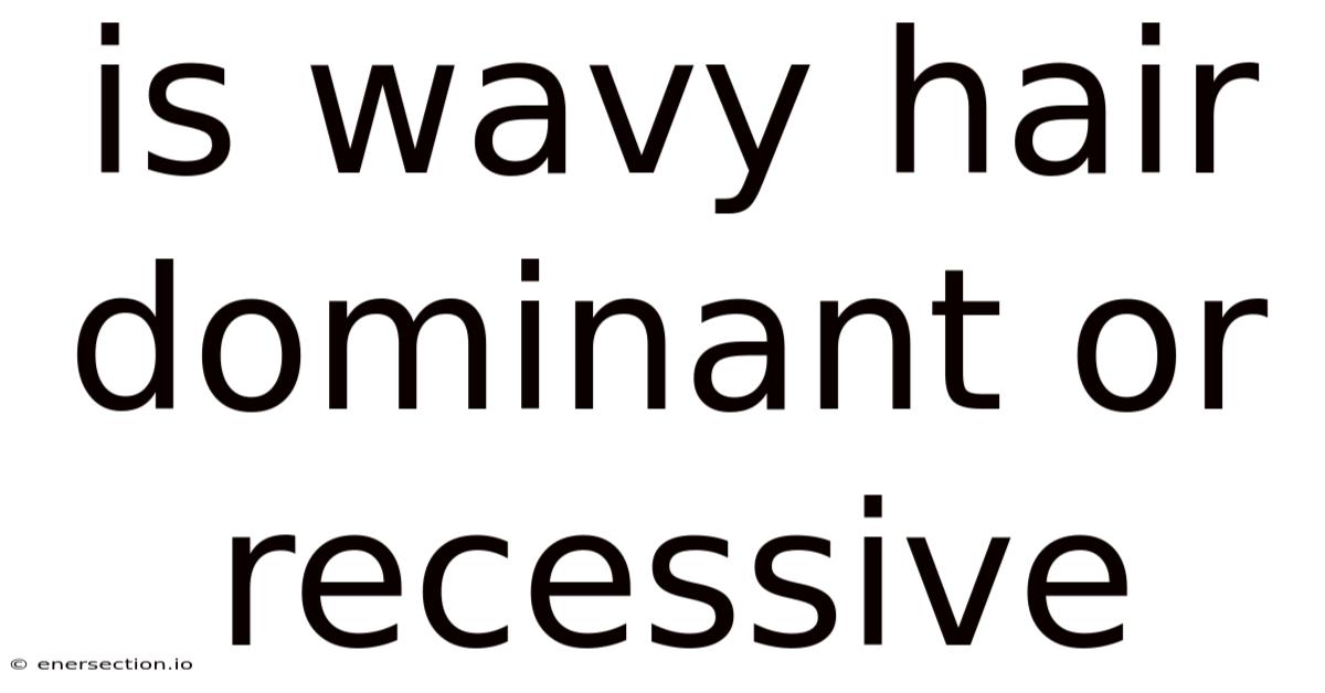 Is Wavy Hair Dominant Or Recessive