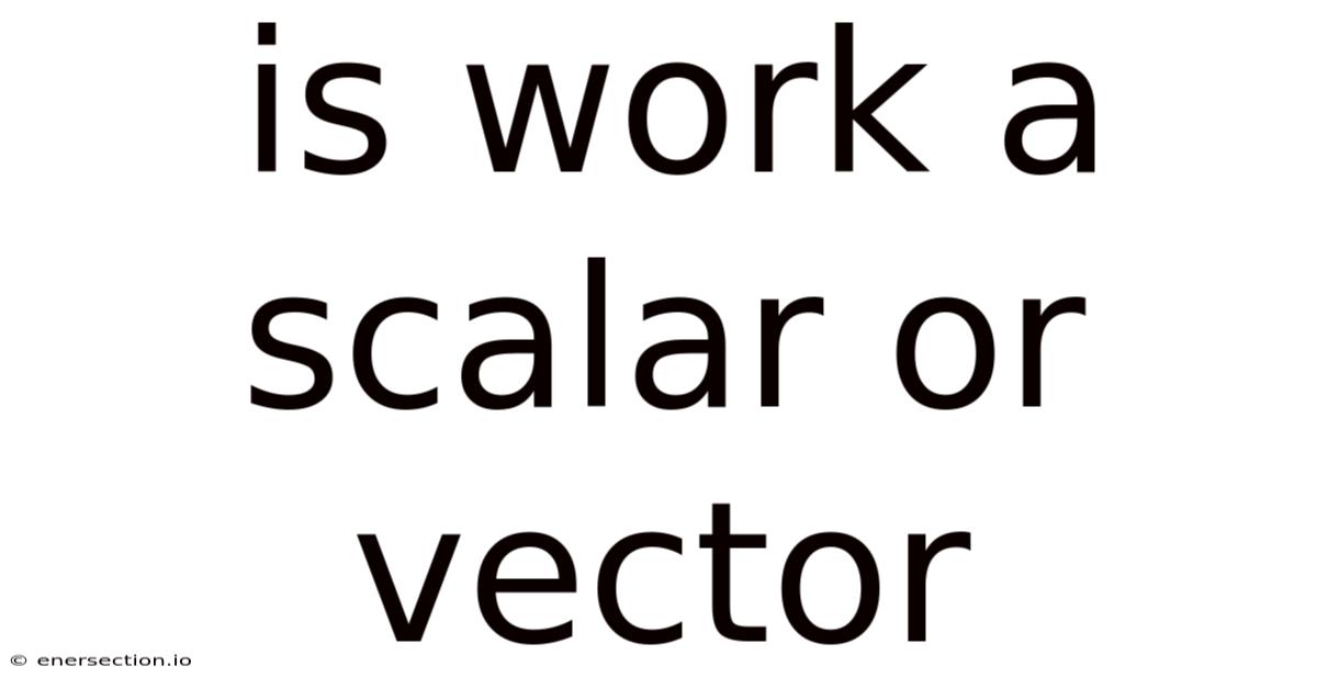 Is Work A Scalar Or Vector