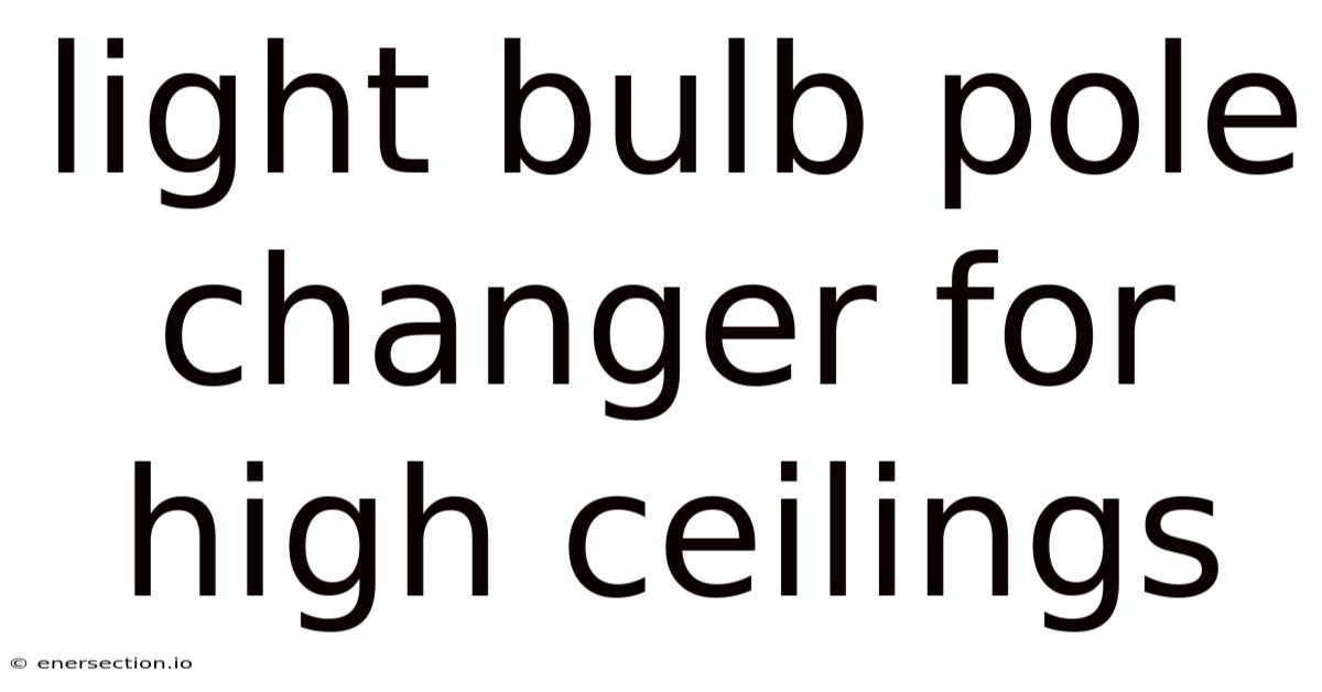 Light Bulb Pole Changer For High Ceilings