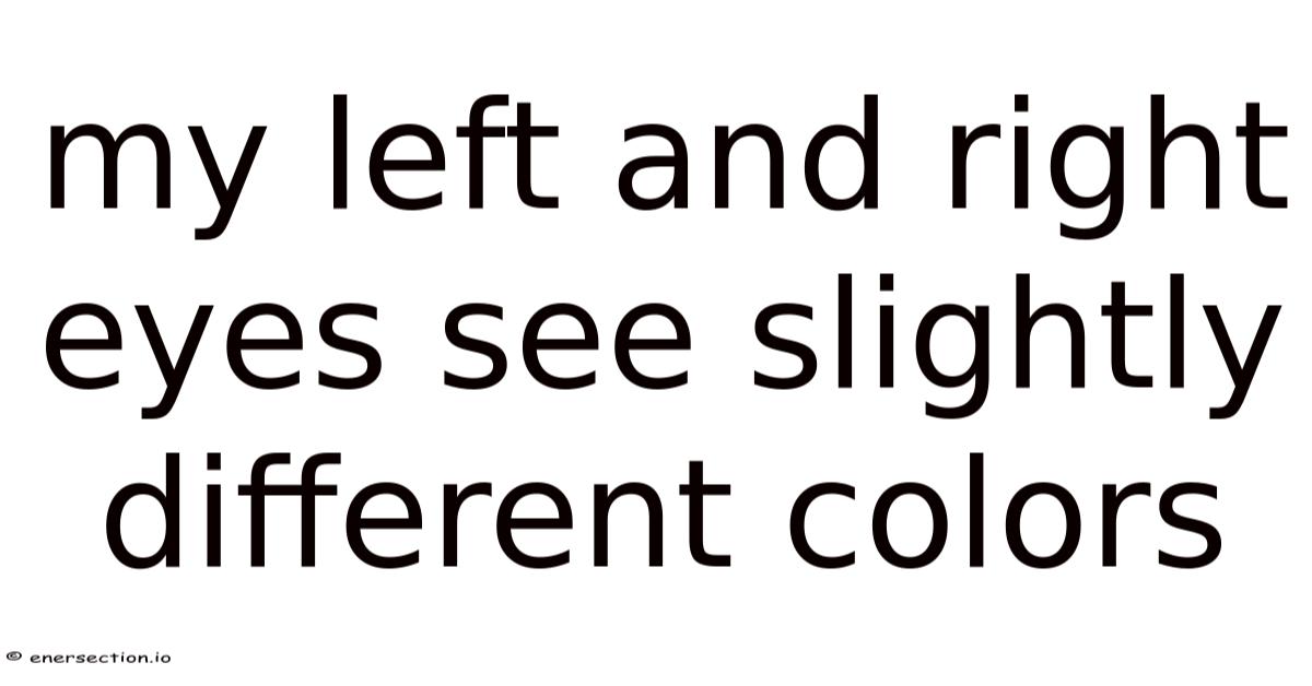 Left Color Right Color My Left And Right Eyes See Slightly Different Colors