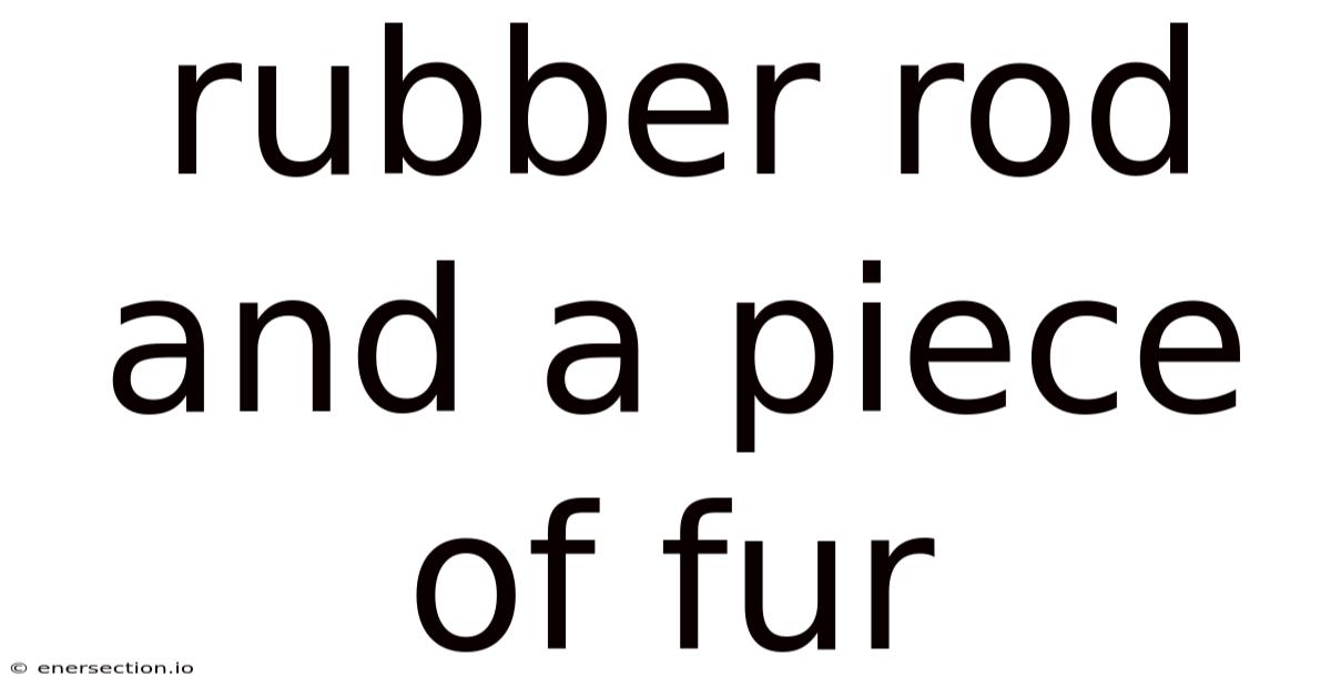 Rubber Rod And A Piece Of Fur