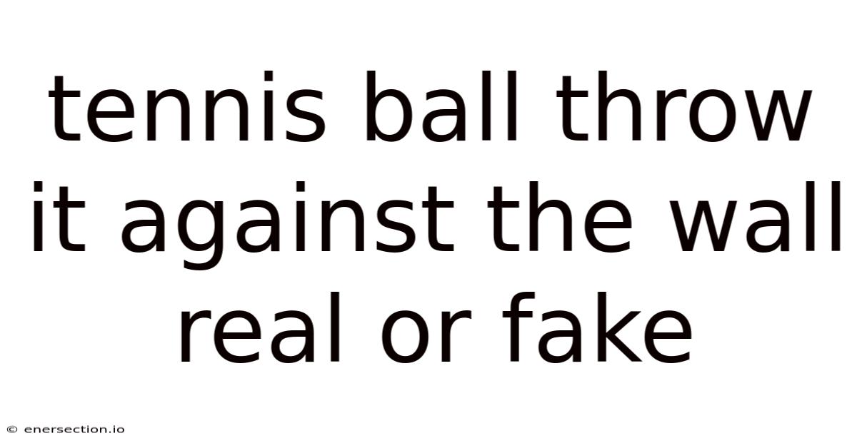 Tennis Ball Throw It Against The Wall Real Or Fake
