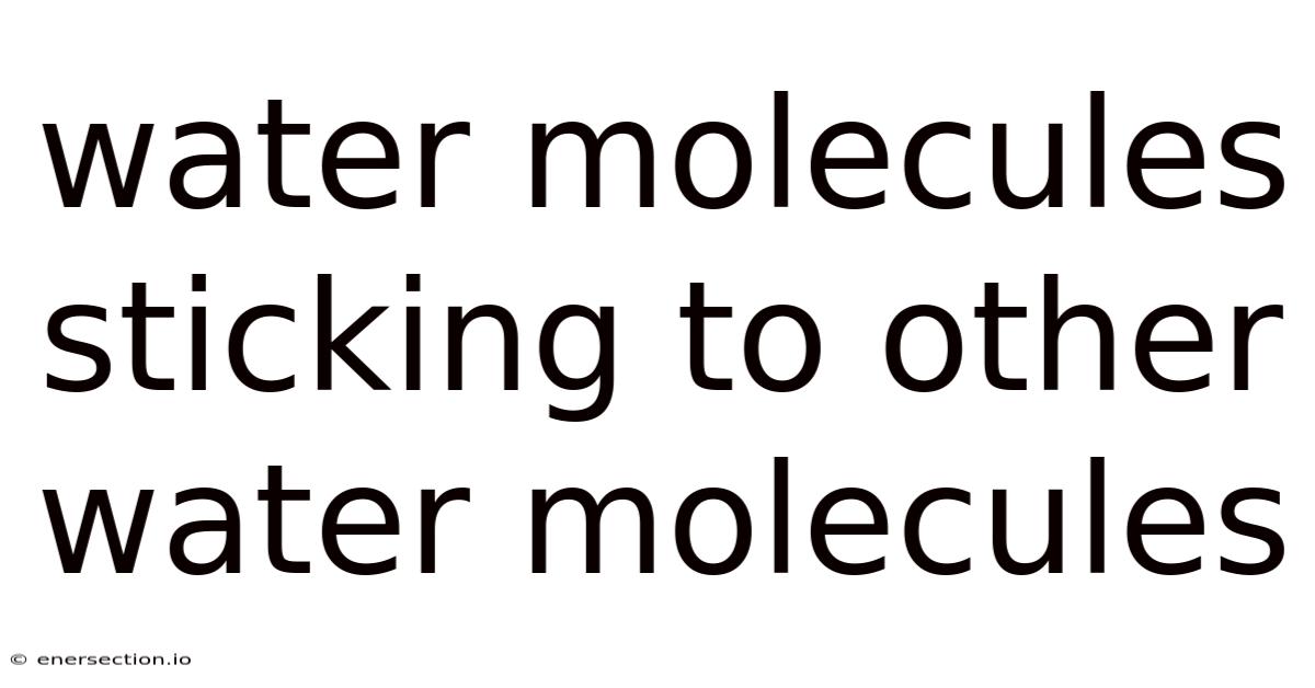 Water Molecules Sticking To Other Water Molecules
