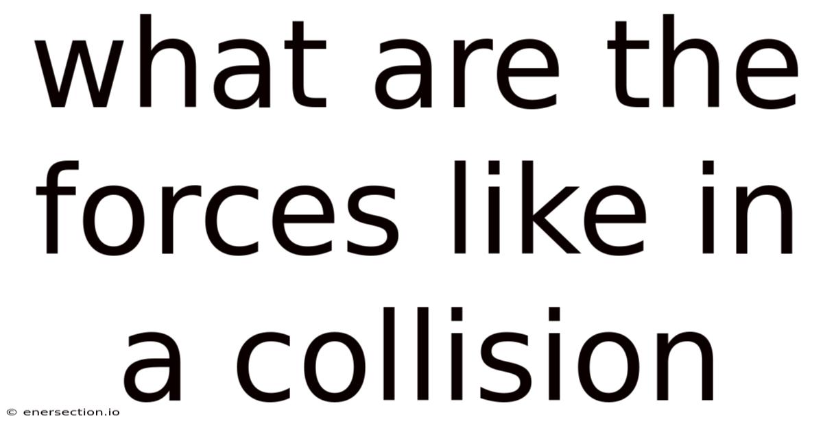 What Are The Forces Like In A Collision