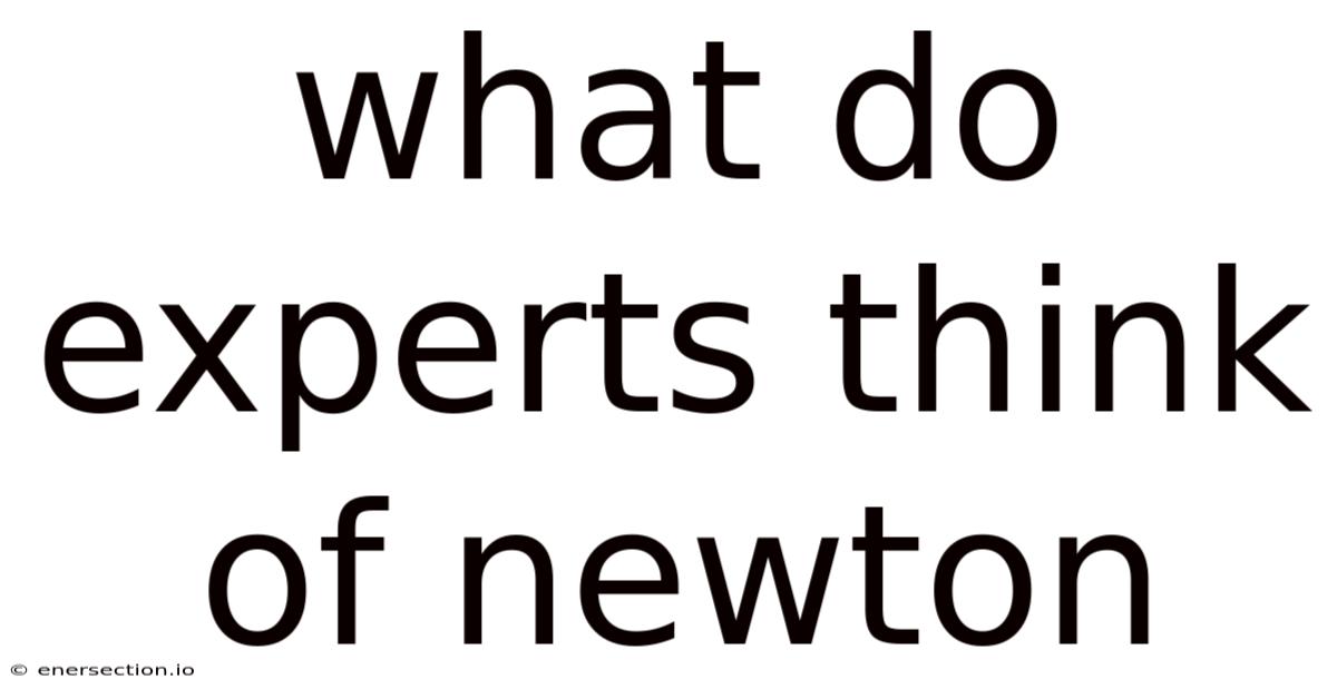 What Do Experts Think Of Newton