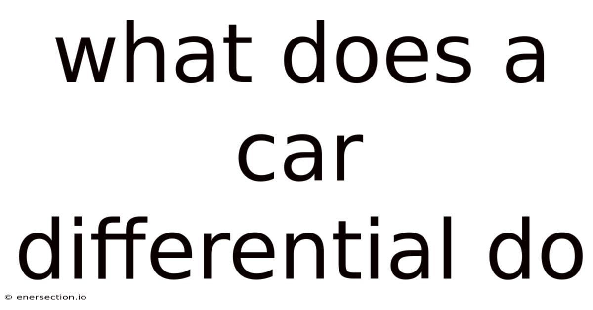 What Does A Car Differential Do