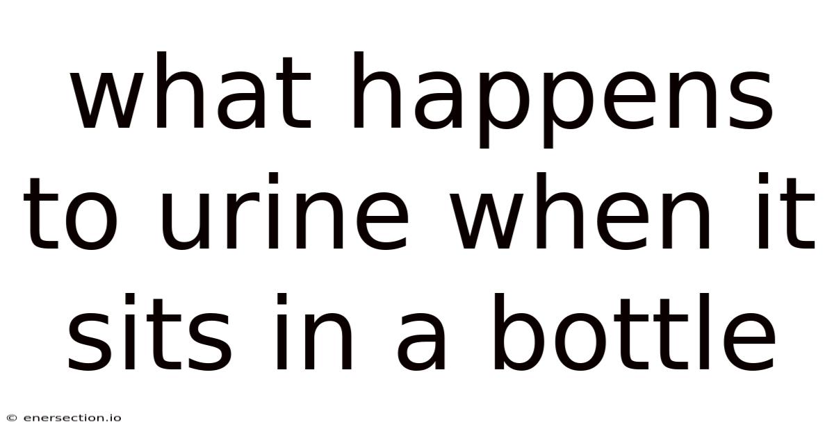 What Happens To Urine When It Sits In A Bottle