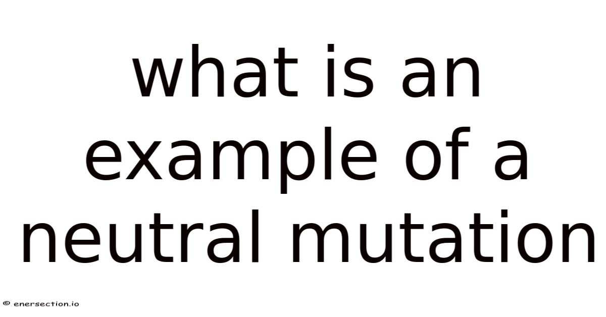 Futation Meaning What Is An Example Of A Neutral Mutation