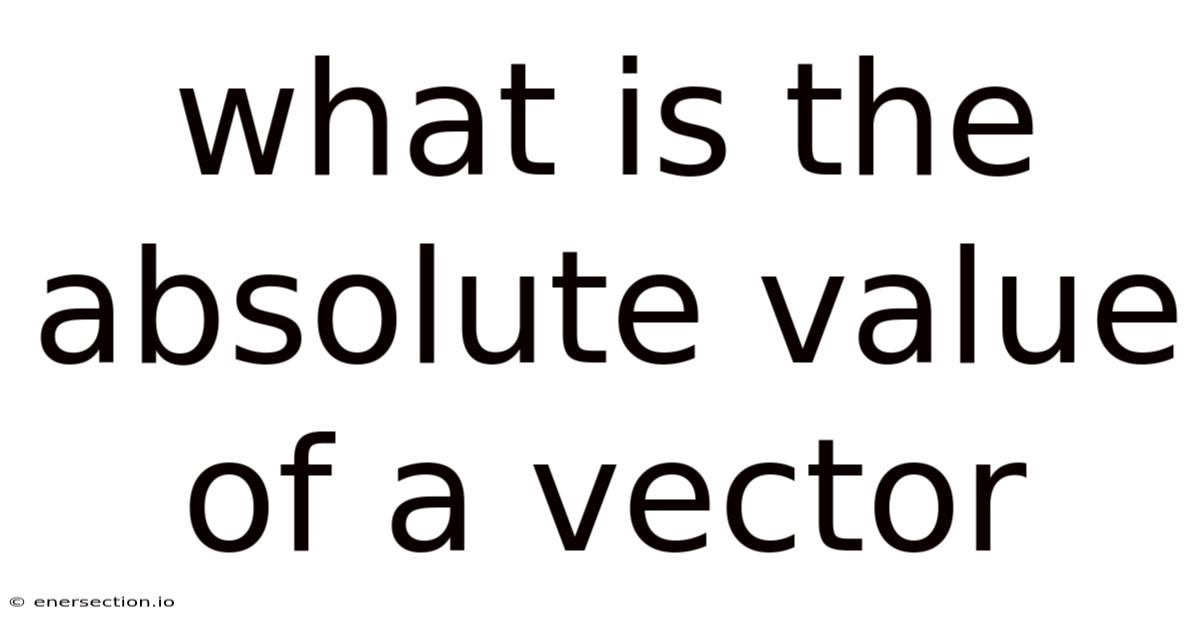 What Is The Absolute Value Of A Vector