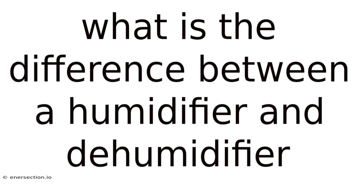 What Is The Difference Between A Humidifier And Dehumidifier
