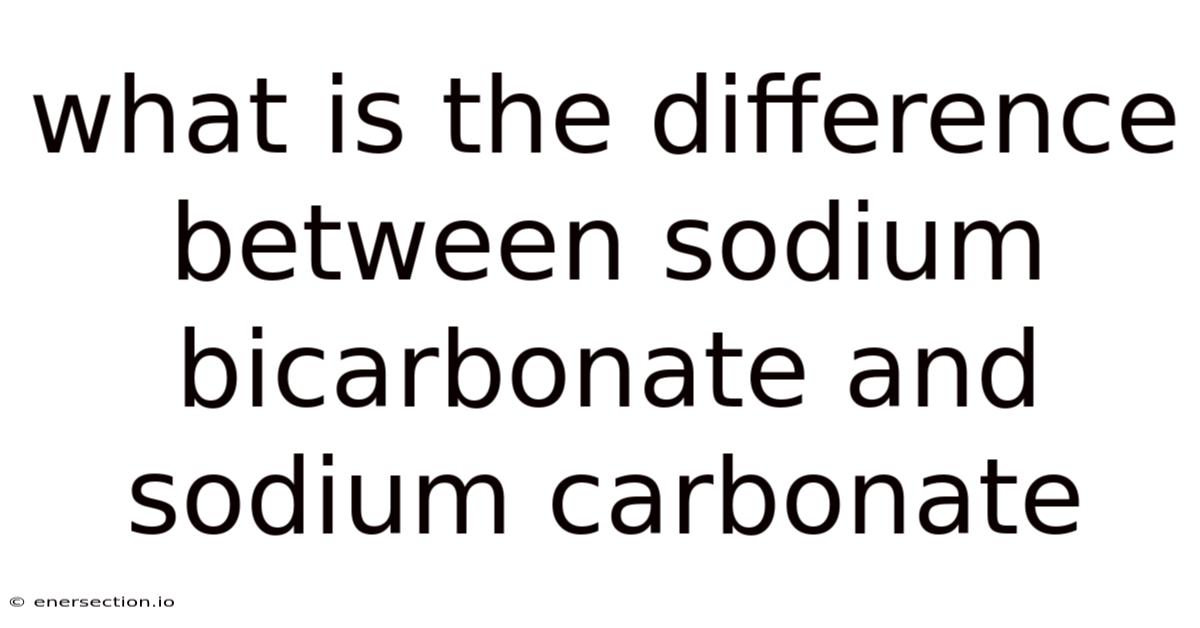 What Is The Difference Between Sodium Bicarbonate And Sodium Carbonate