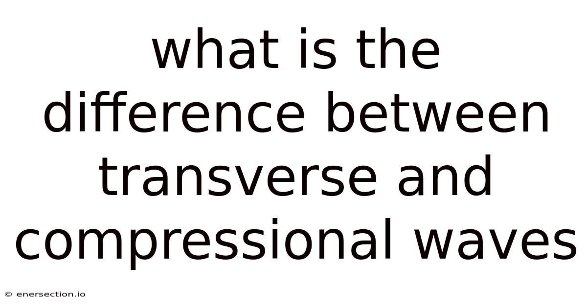 What Is The Difference Between Transverse And Compressional Waves