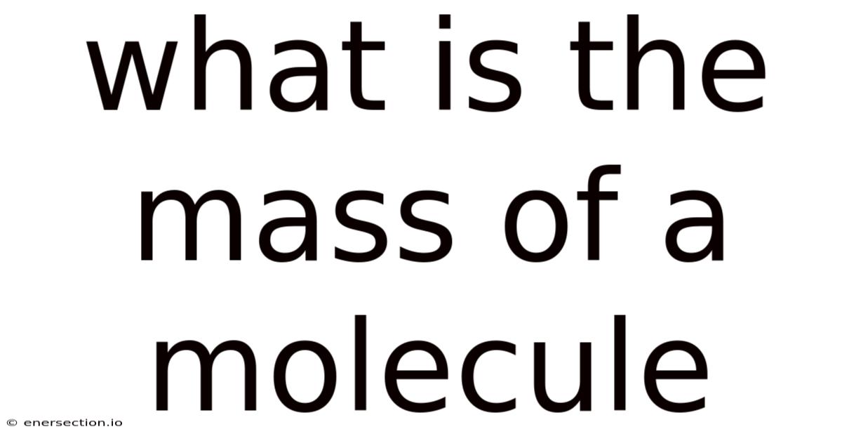 What Is The Mass Of A Molecule