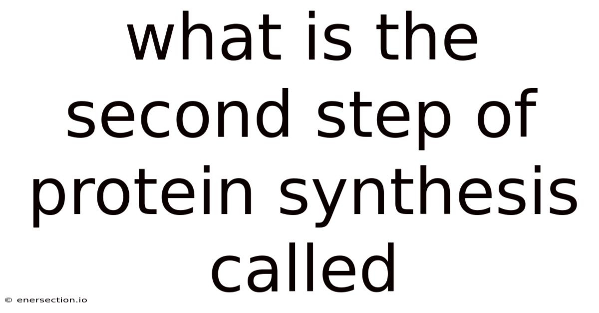 What Is The Second Step Of Protein Synthesis Called