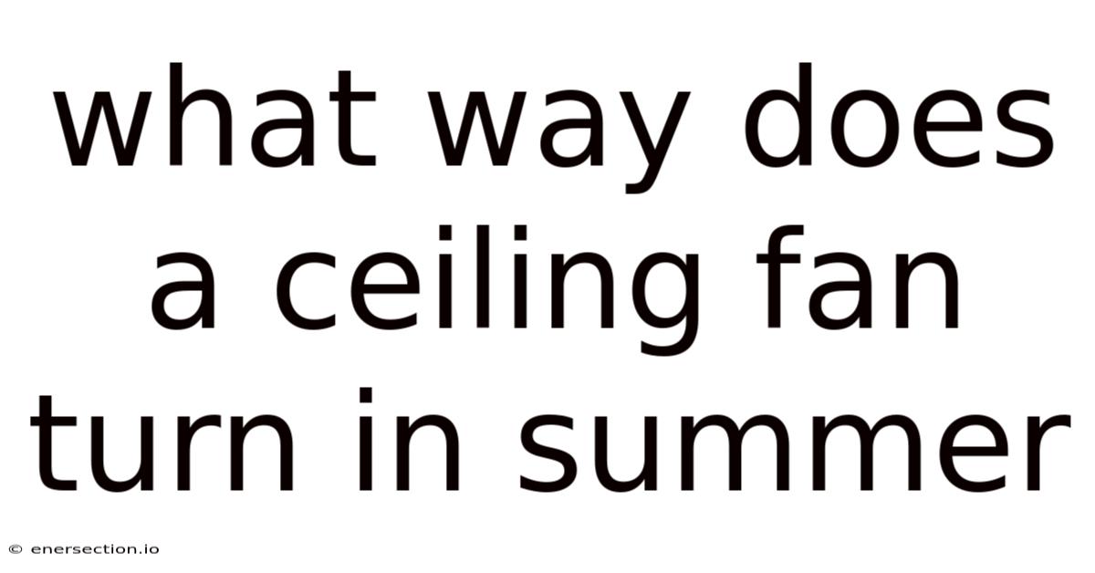 What Way Does A Ceiling Fan Turn In Summer