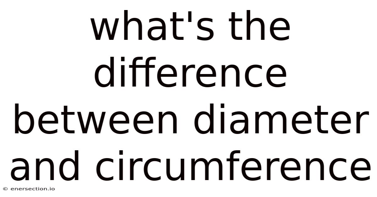 What's The Difference Between Diameter And Circumference