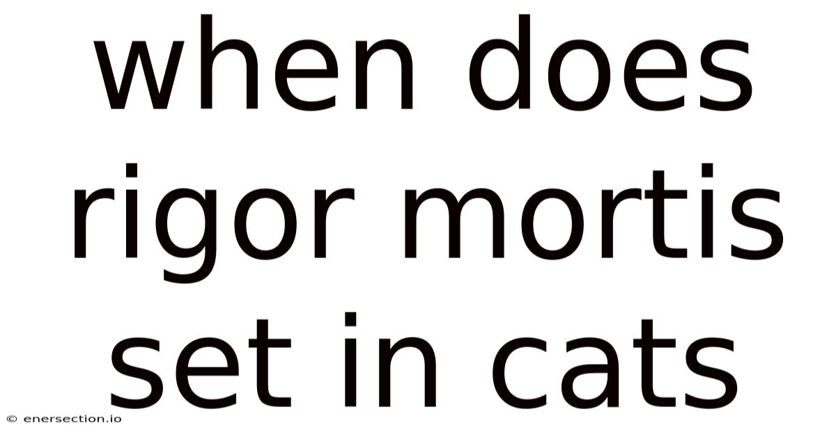 When Does Rigor Mortis Set In Cats