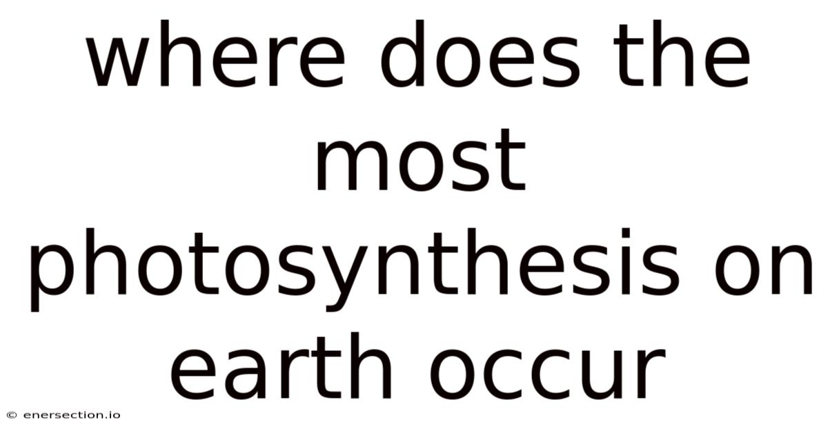 Where Does The Most Photosynthesis On Earth Occur