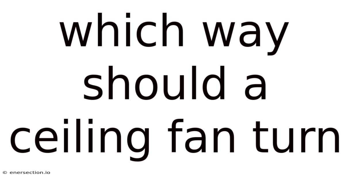 Which Way Should A Ceiling Fan Turn