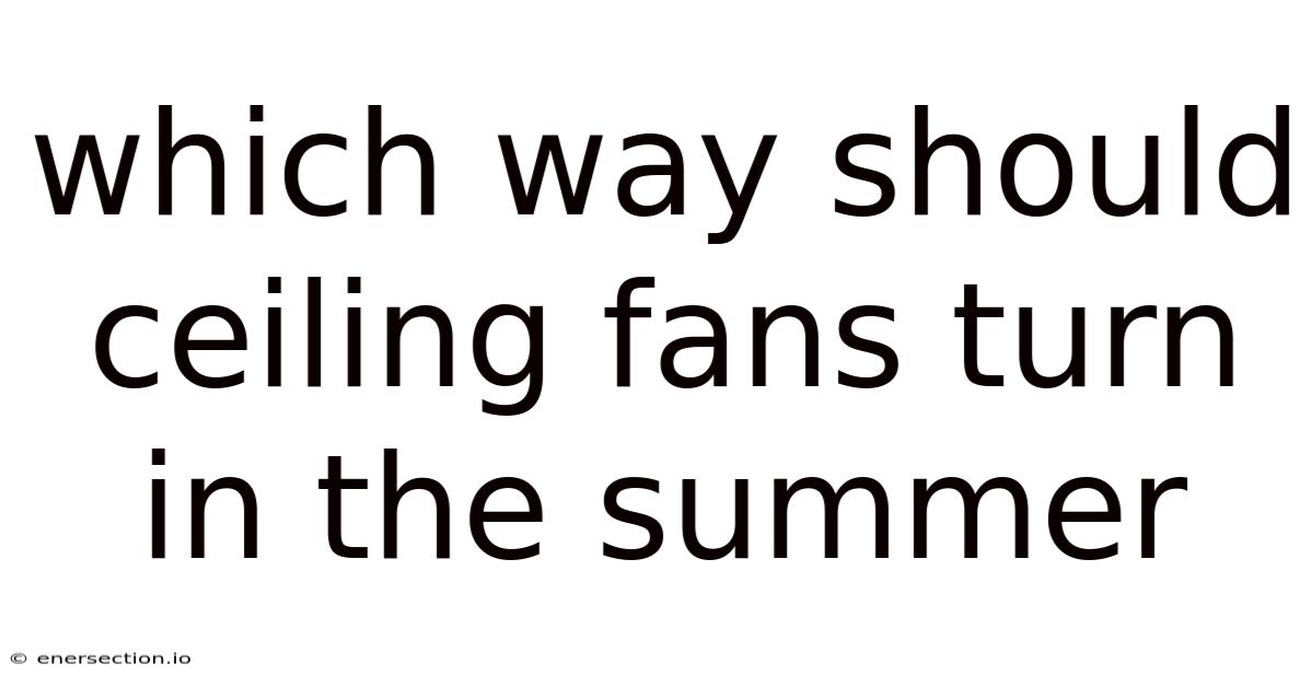 Which Way Should Ceiling Fans Turn In The Summer