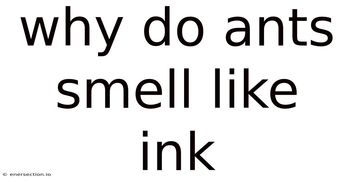 Why Do Ants Smell Like Ink