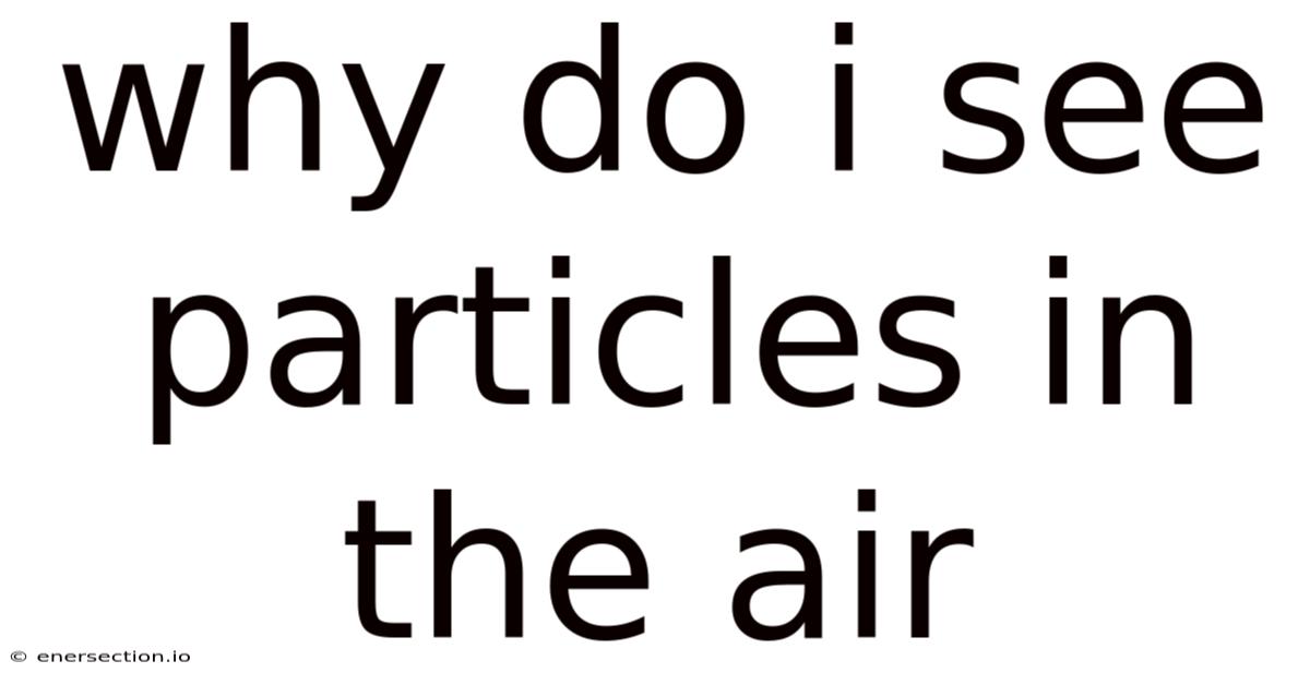 Why Do I See Particles In The Air