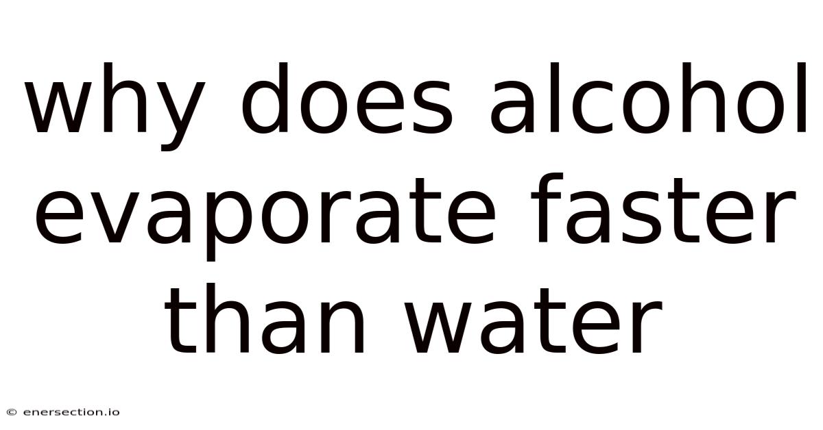 Why Does Alcohol Evaporate Faster Than Water