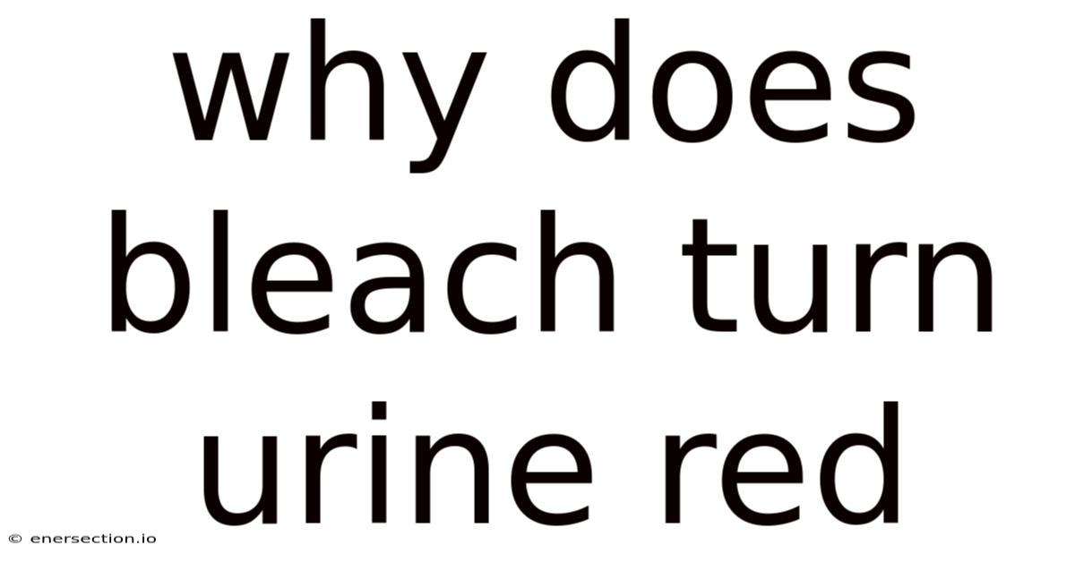Why Does Bleach Turn Urine Red