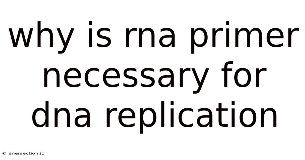 Why Is Rna Primer Necessary For Dna Replication
