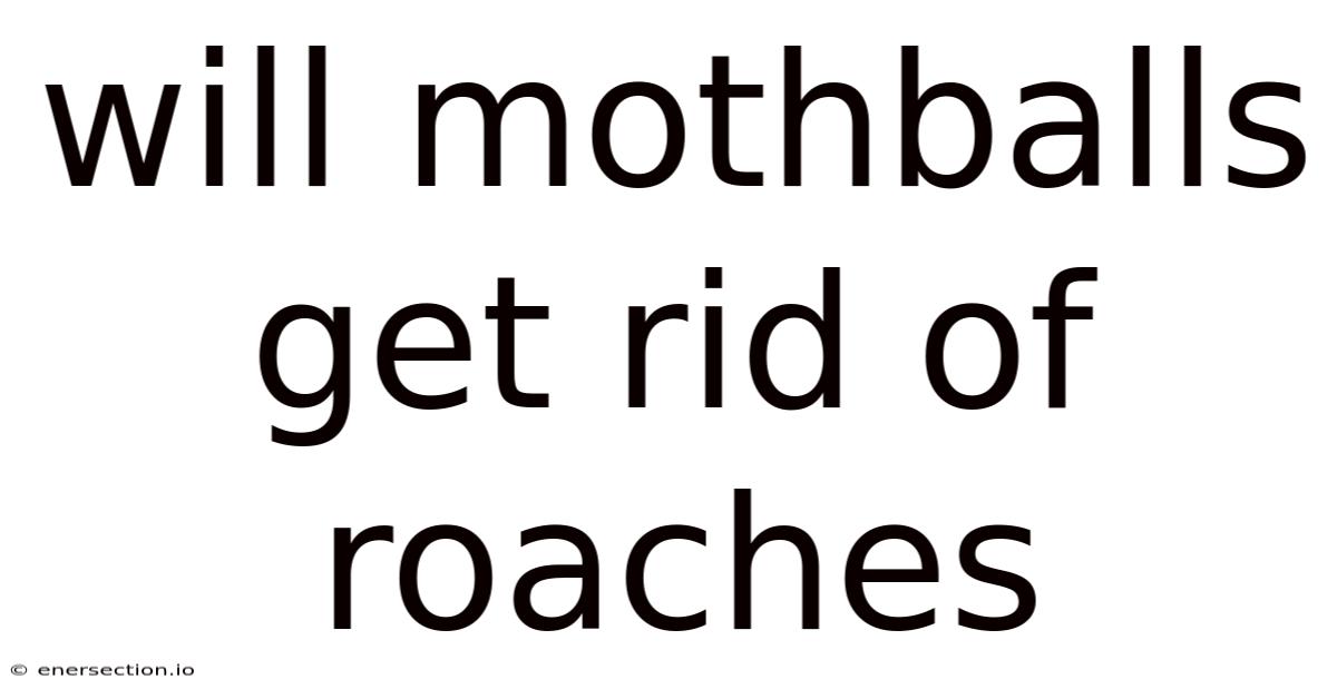 Will Mothballs Get Rid Of Roaches