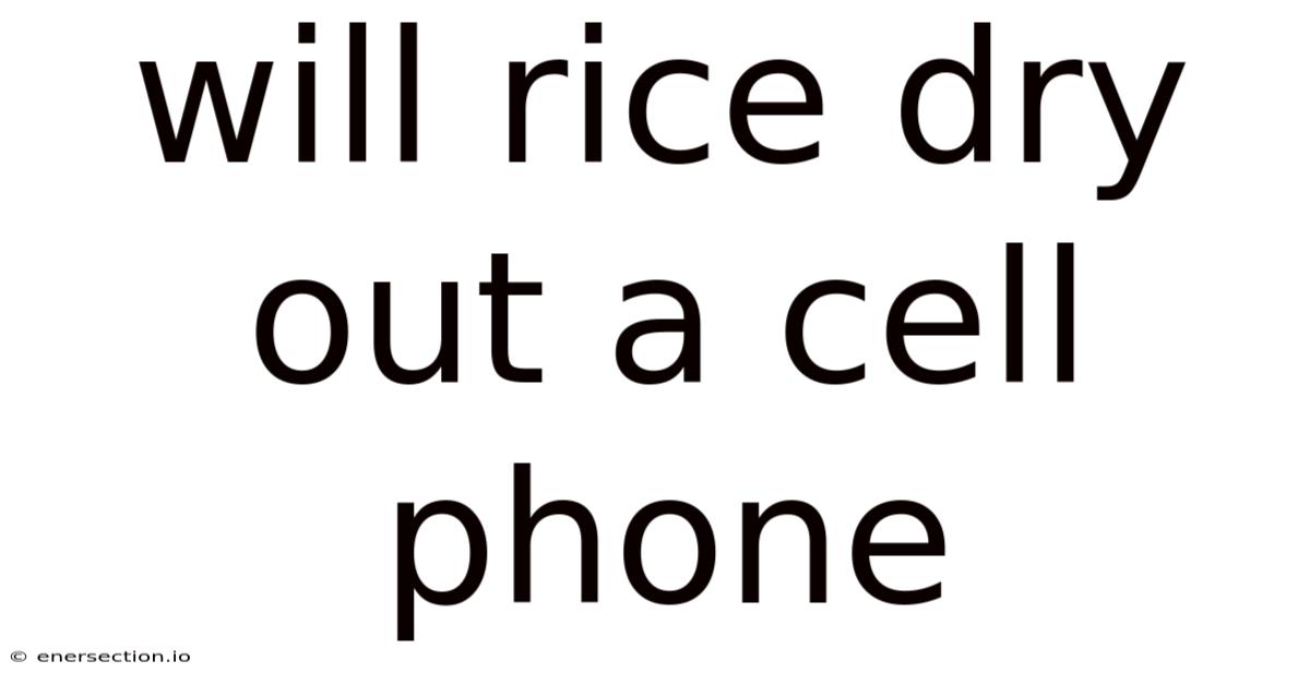 Will Rice Dry Out A Cell Phone