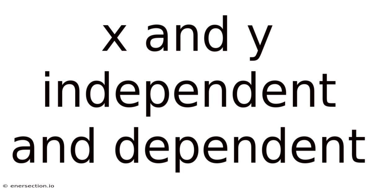 X And Y Independent And Dependent